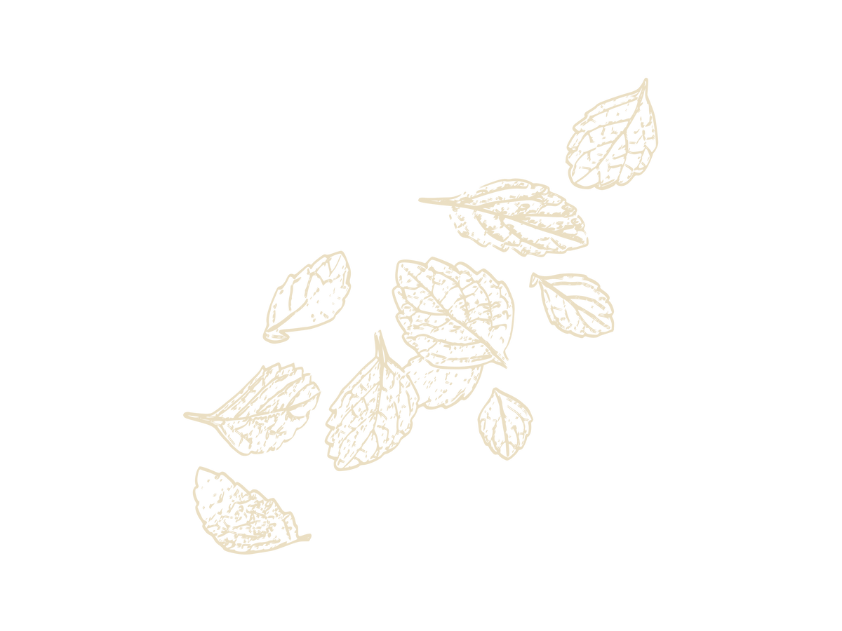 Autumn Leaves