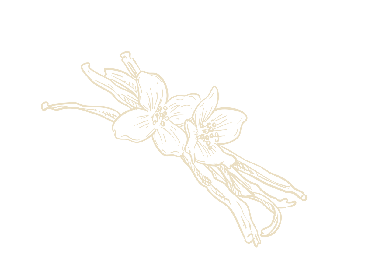 Dark Vanilla